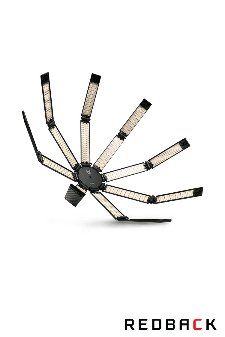 REDBACK WITH THE LOT - Grip Support Store