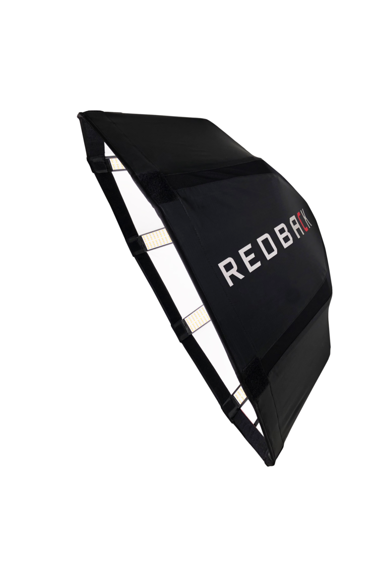 REDBACK DELUXE KIT (Redback basic kit plus LCD/soft eggrate and 180 degree Teaser) - Grip Support Store