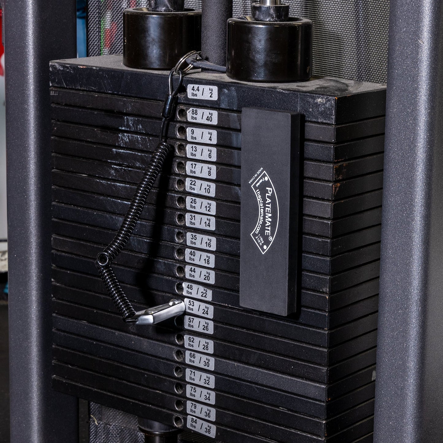 2.5 lb Brick (Single) - Grip Support Store