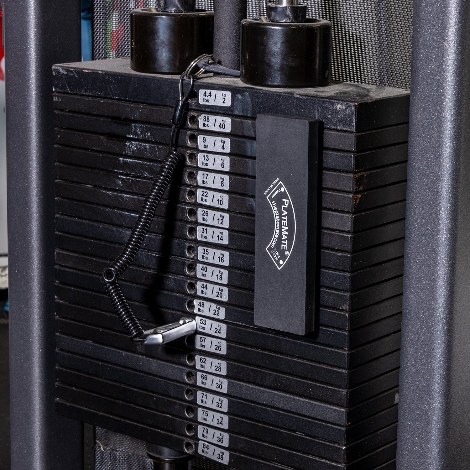 2.5 lb Brick (Single) - Grip Support Store