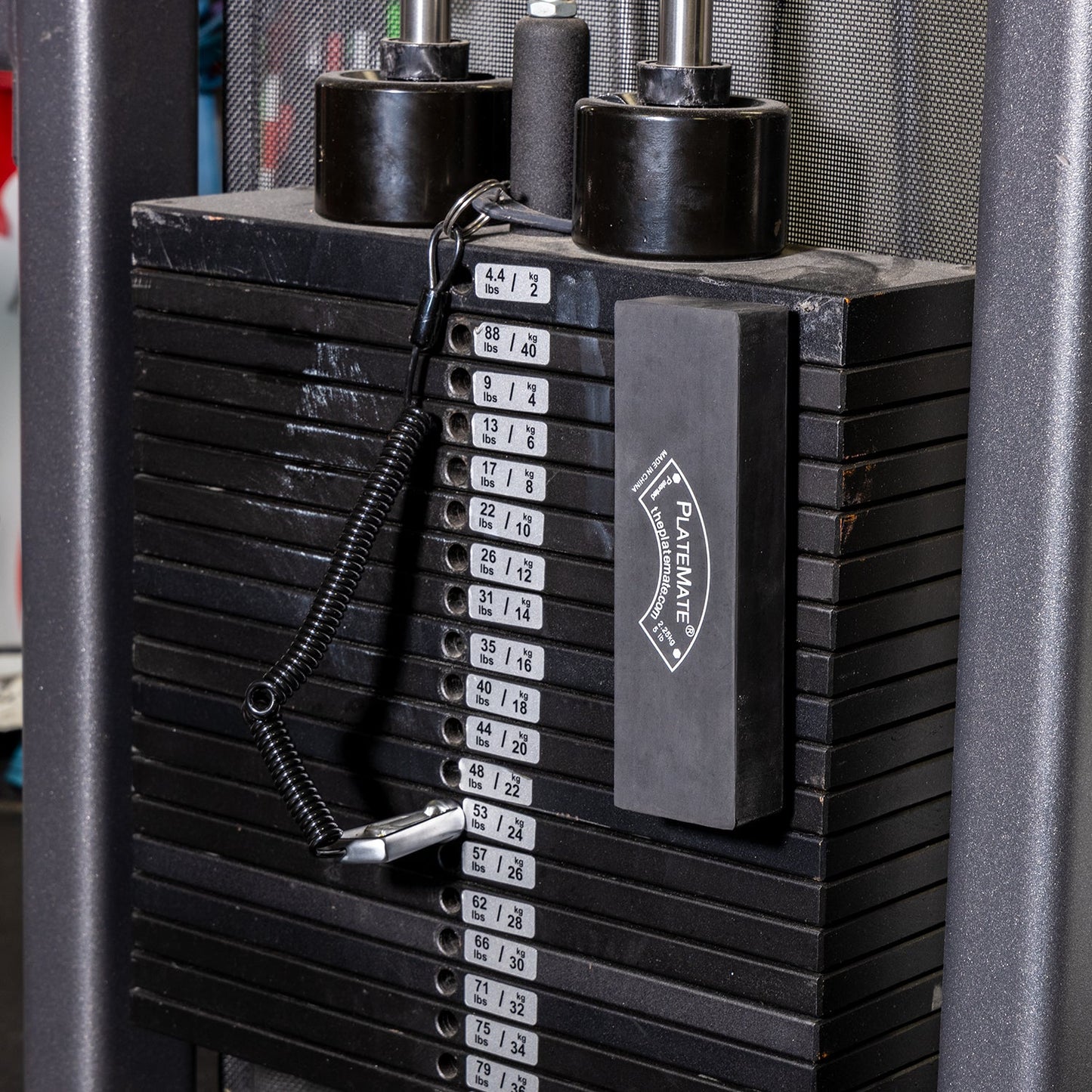 5 lb Brick (Single) - Grip Support Store