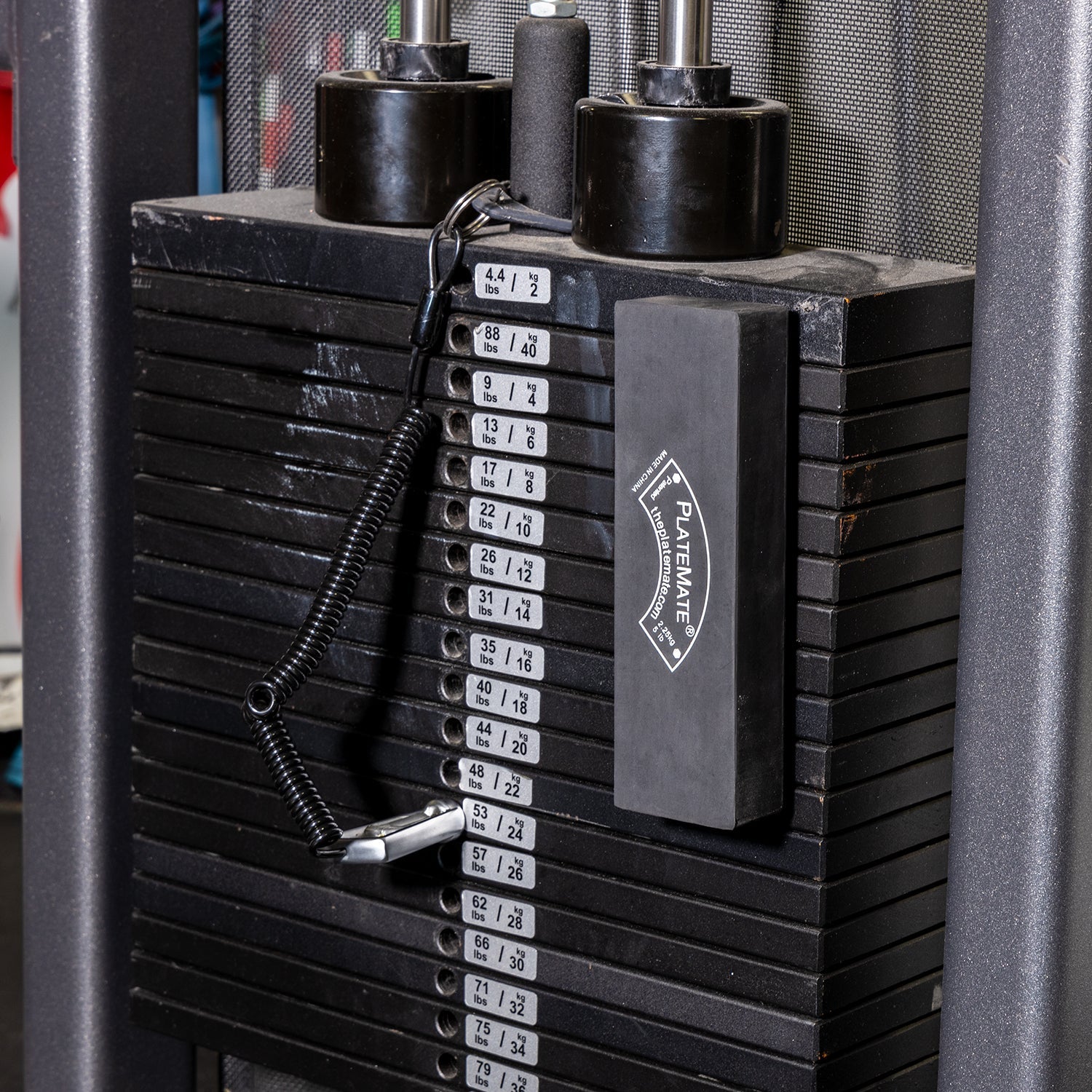 5 lb Brick (Single) - Grip Support Store