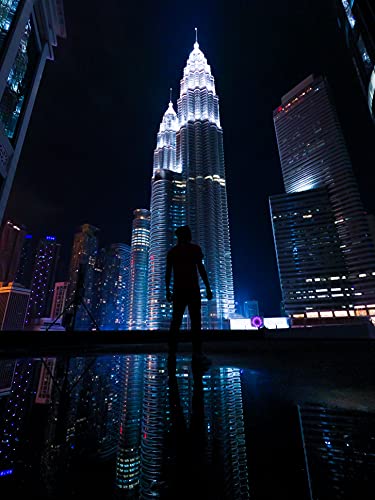 GoPro HERO10 Black - Waterproof Action Camera with Front LCD and Touch Rear Screens, 5.3K60 Ultra HD Video, 23MP Photos, 1080p Live Streaming, Webcam, Stabilization - Grip Support Store