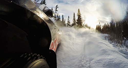 GoPro Suction Cup Mount - Grip Support Store