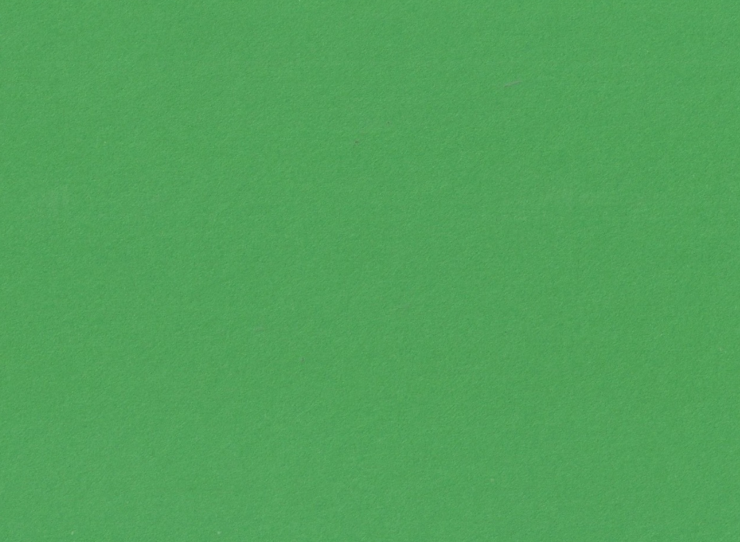 ShowCard 32" x 40" ( 5 of Each ) - Grip Support Store